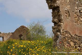 Feudo san Leonardo